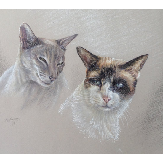 Cat Portrait Paintings by Surrey Artist Ian Henderson - Redhill