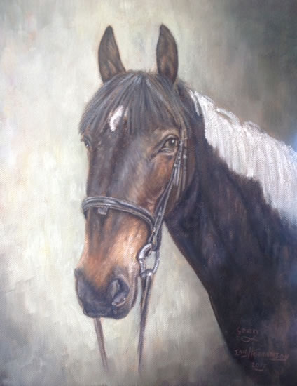 Horse Portrait Painting by Surrey Artist Ian Henderson - Woking Art Society